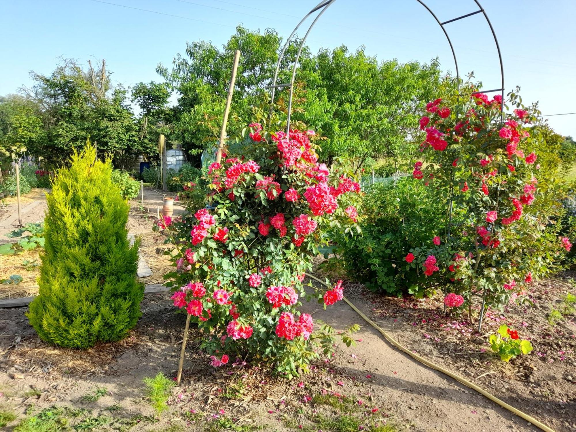 Bed and Breakfast Les Abelias Hauterive  Exteriér fotografie